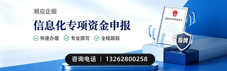 运城信息化专项资金申报服务