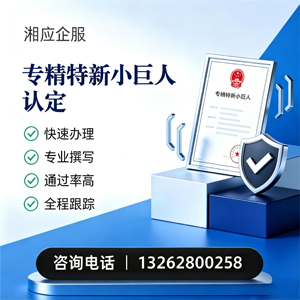 运城专精特新小巨人申报服务