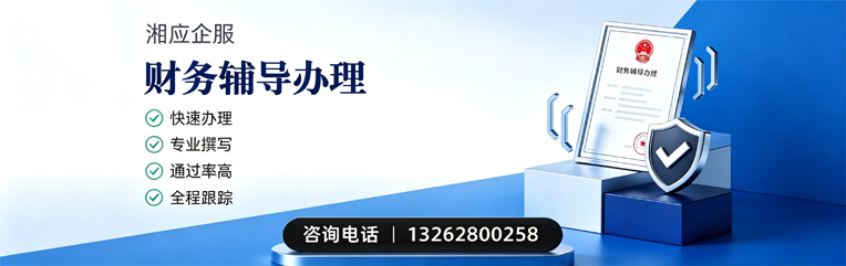 运城财务辅导申请服务