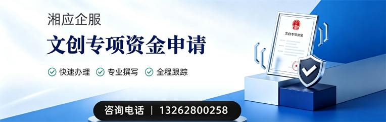 运城文创专项资金申报服务