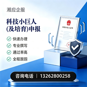 运城科技小巨人及培育企业申报服务