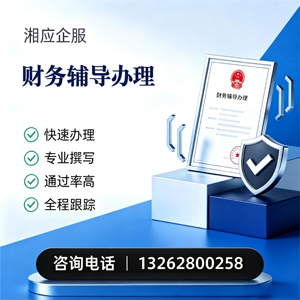 运城财务辅导申请服务