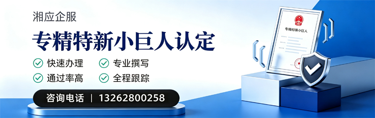 运城专精特新小巨人申报服务